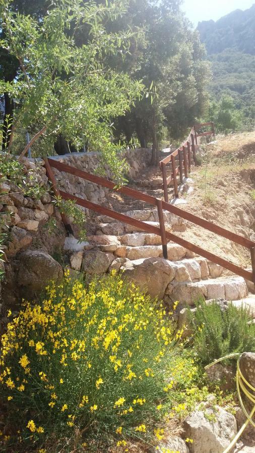 Casa Lucia Campagna Relax Guest House Dorgali Exterior photo